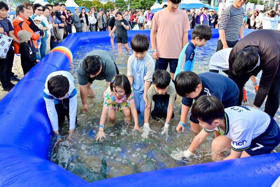 부산고등어축제 사진