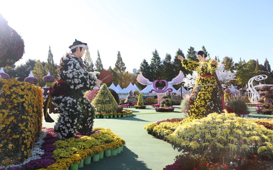 익산 천만송이 국화축제 사진